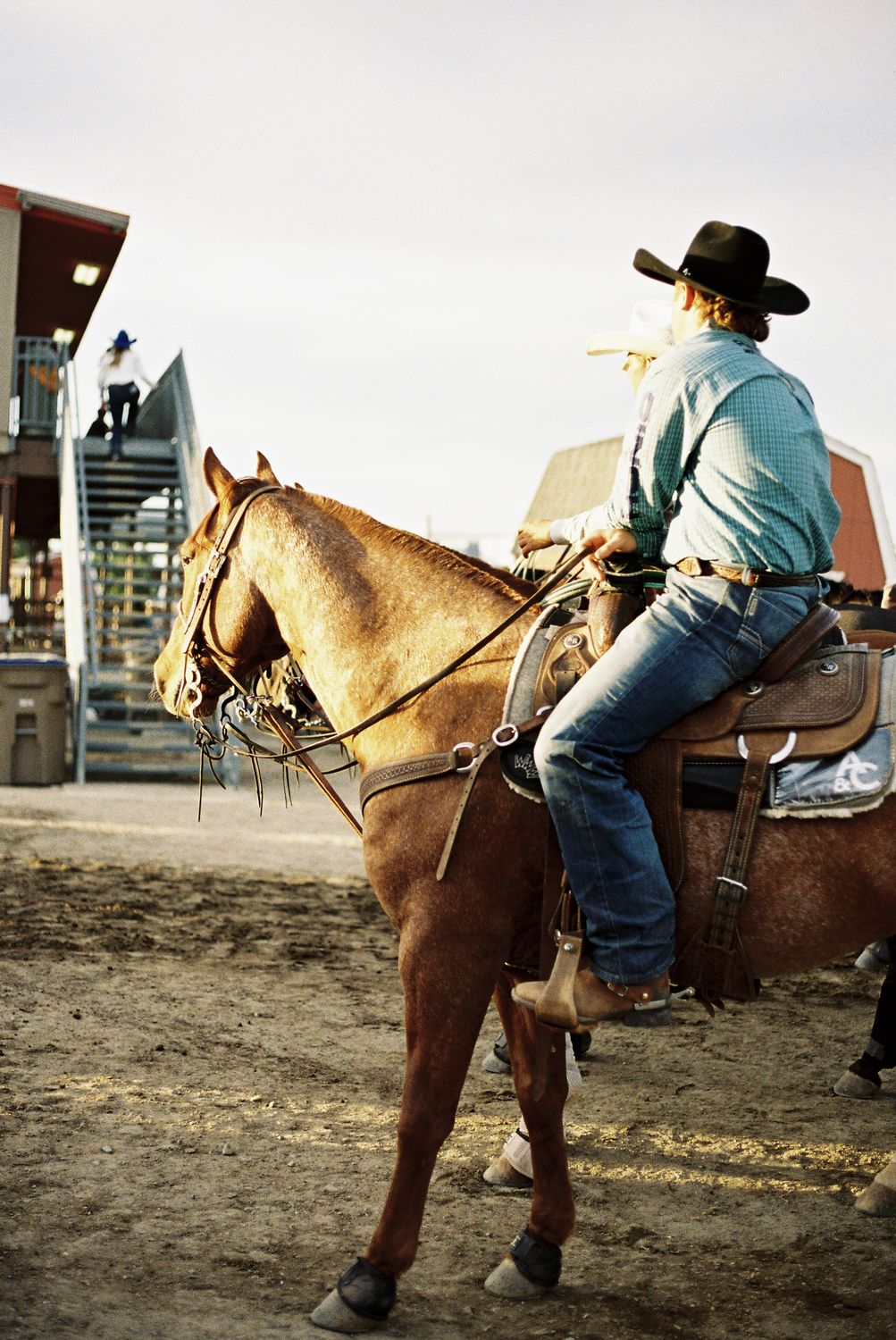 Cowboy on horseback behind the chutes in the late afternoon light
